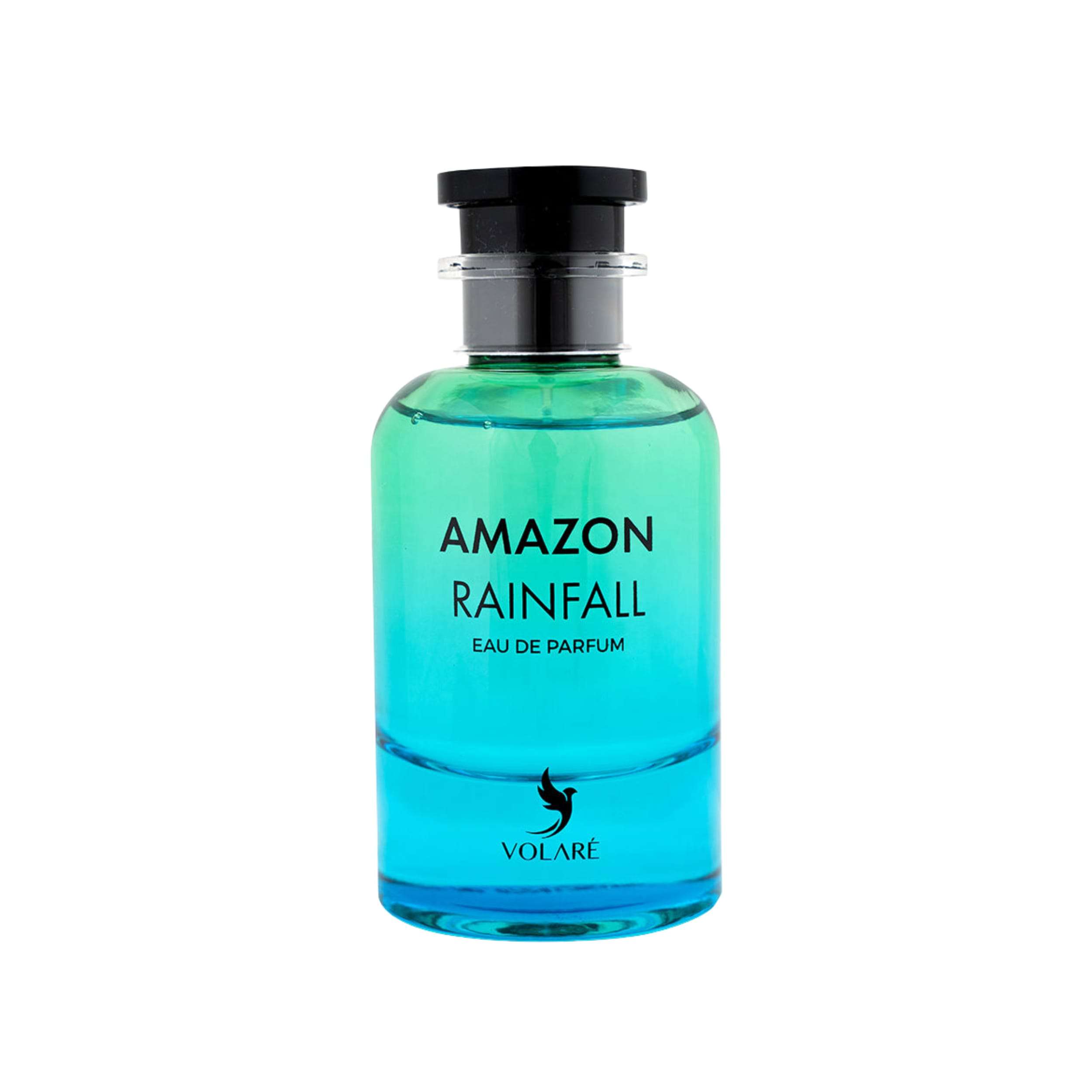 Amazone Rainfall