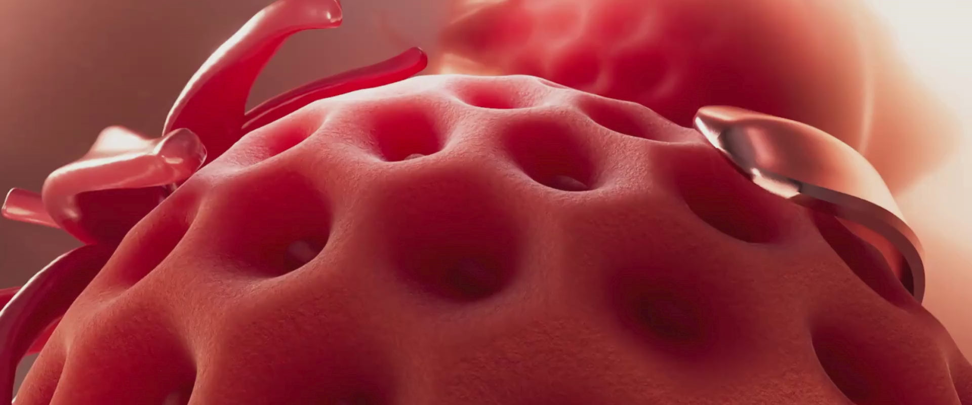 Charger la vidéo : 