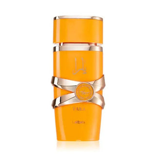 Yara Tous - DubaiArabian